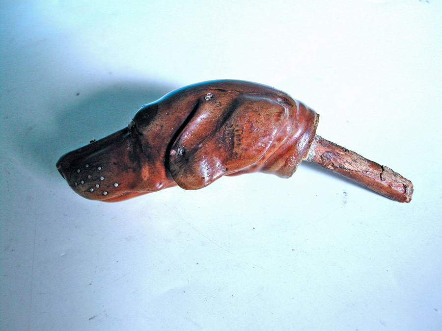 Antique Fruitwood Carved  "Dogs Head" Walking Stick Handle. English.