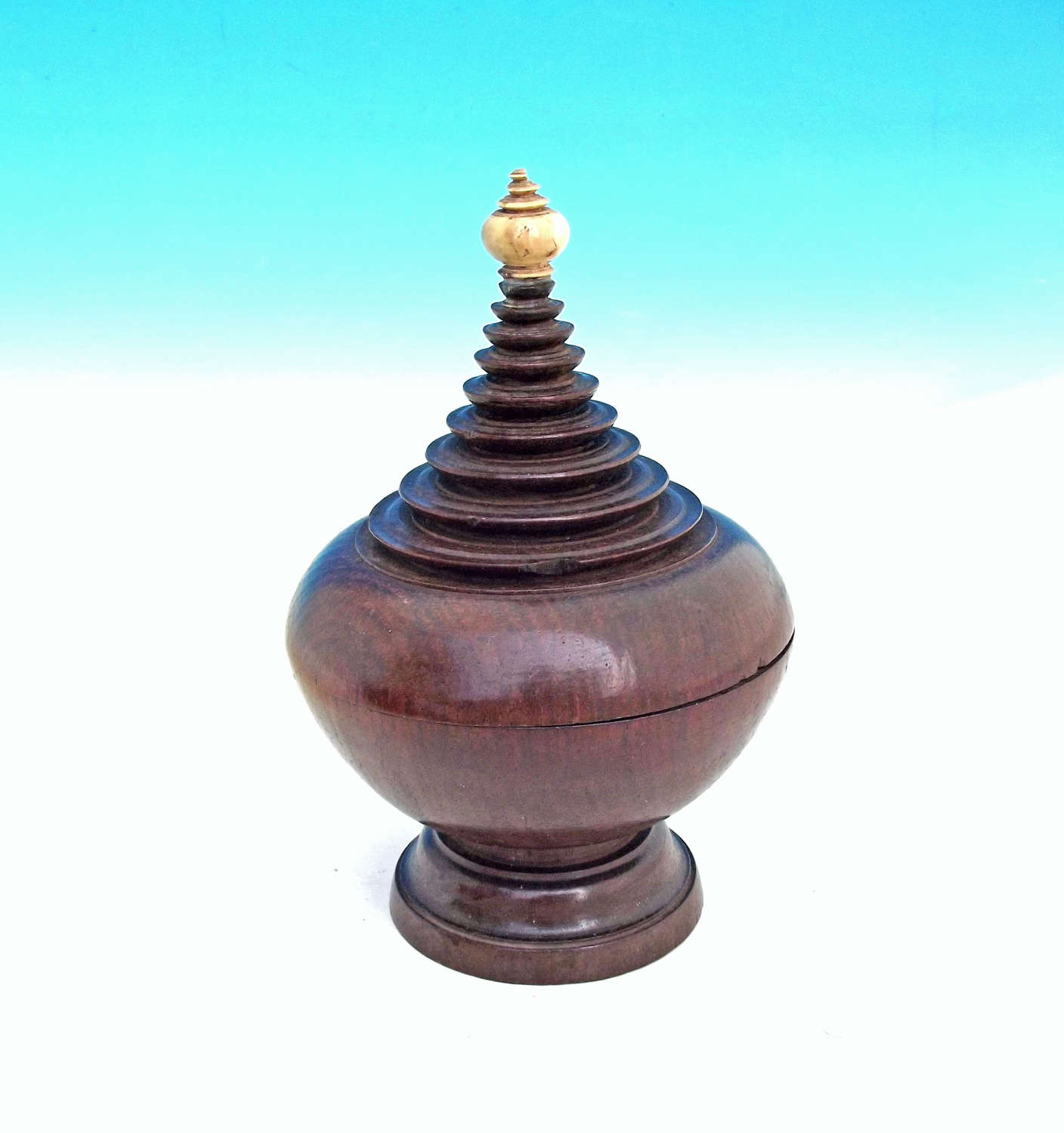 Early 19thc Treen Rosewood Lidded Spice Pot.  English C1800-20